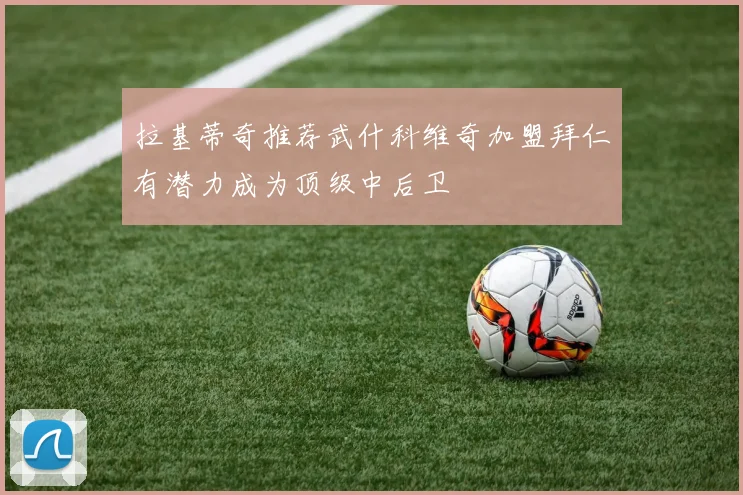 拉基蒂奇推荐武什科维奇加盟拜仁有潜力成为顶级中后卫