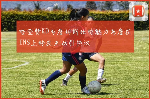 哈登赞KD与詹姆斯独特魅力老詹在INS上转发互动引热议
